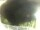 Webcam in Morcone (Elba), 5.9 mi away