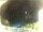 Webcam in Morcone (Elba), 2.5 mi away