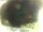 Webcam in Morcone (Elba), 29.2 mi away
