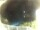 Webcam in Morcone (Elba), 4 mi away