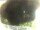 Webcam in Morcone (Elba), 1.6 km