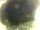Webcam in Morcone (Elba), 9 km entfernt