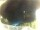 Webcam in Morcone (Elba), 14.6 mi away
