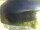 Webcam in Morcone (Elba), 4 mi away