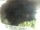 Webcam in Morcone (Elba), 9.9 km entfernt