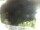 Webcam in Morcone (Elba), 3.8 mi away