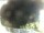 Webcam in Morcone (Elba), 18 km entfernt