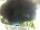Webcam in Morcone (Elba), 1.5 km entfernt
