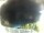 Webcam in Morcone (Elba), 7 mi away