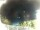 Webcam in Morcone (Elba), 0.8 km