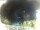 Webcam in Morcone (Elba), 18 km entfernt