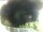 Webcam in Morcone (Elba), 10.3 km entfernt