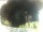 Webcam in Morcone (Elba), 4 mi away