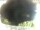 Webcam in Morcone (Elba), 24.7 km entfernt