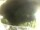 Webcam in Morcone (Elba), 10.3 km entfernt