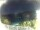 Webcam in Morcone (Elba), 9.5 mi away