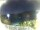 Webcam in Morcone (Elba), 1.5 km entfernt