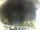 Webcam in Morcone (Elba), 37.8 km