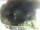 Webcam in Morcone (Elba), 60.8 km entfernt