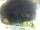 Webcam in Morcone (Elba), 18 km entfernt