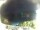 Webcam in Morcone (Elba), 0.8 km