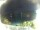 Webcam in Morcone (Elba), 18 km