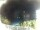 Webcam in Elba - Morcone, 56 km