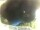 Webcam in Morcone (Elba), 13.6 mi away