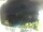 Webcam in Morcone (Elba), 1.5 km entfernt