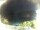 Webcam in Morcone (Elba), 1.5 km entfernt