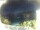 Webcam in Morcone (Elba), 10.3 km