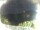 Webcam in Morcone (Elba), 1.6 km