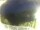 Webcam in Morcone (Elba), 75.6 km entfernt