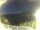 Webcam in Morcone (Elba), 10.3 km entfernt
