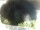 Webcam in Morcone (Elba), 1.5 km entfernt