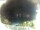 Webcam in Morcone (Elba), 15.3 km