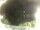 Webcam in Morcone (Elba), 10.3 km entfernt