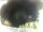Webcam in Morcone (Elba), 9.5 mi away
