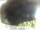 Webcam in Elba - Morcone, 25.9 km