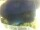 Webcam in Morcone (Elba), 35.2 km entfernt