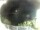 Webcam in Morcone (Elba), 75.6 km entfernt