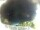 Webcam in Morcone (Elba), 1.5 km entfernt