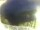 Webcam in Morcone (Elba), 1.6 km