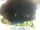 Webcam in Morcone (Elba), 24.7 km