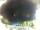 Webcam in Morcone (Elba), 1.5 km entfernt