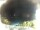 Webcam in Morcone (Elba), 1.5 km