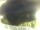 Webcam in Morcone (Elba), 56 km entfernt