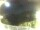 Webcam in Elba - Morcone, 6.6 km