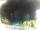 Webcam in Morcone (Elba), 37.8 km entfernt