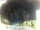 Webcam in Morcone (Elba), 6.9 km